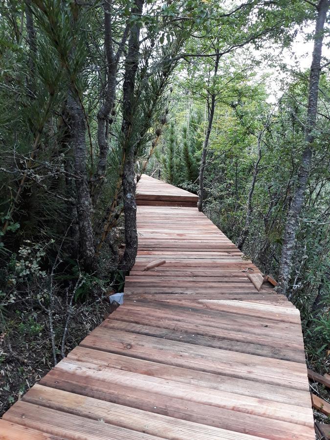 הוילה מלאלקהואלו Parque Amavida מראה חיצוני תמונה