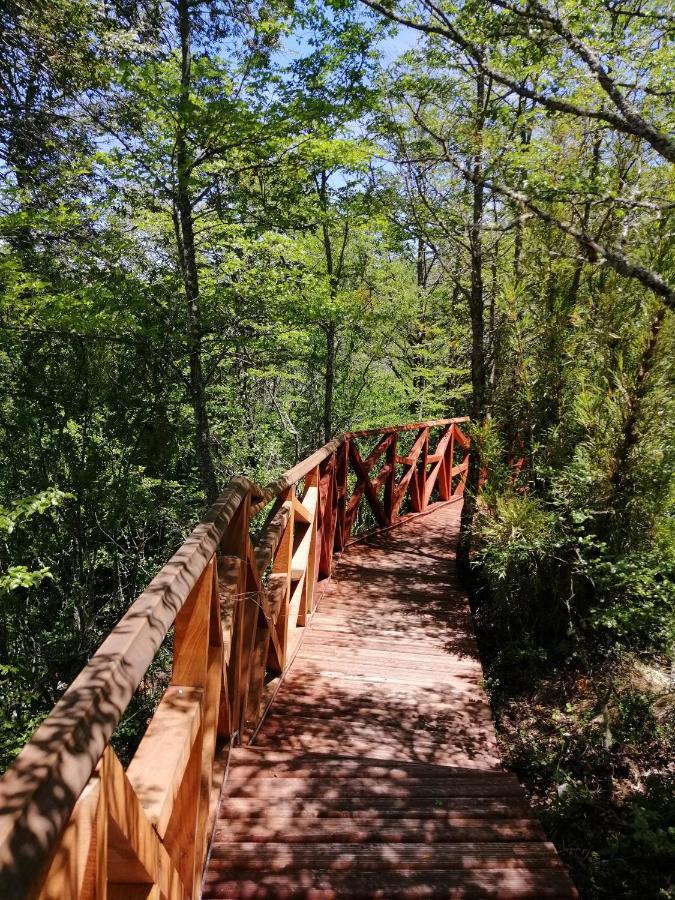 הוילה מלאלקהואלו Parque Amavida מראה חיצוני תמונה